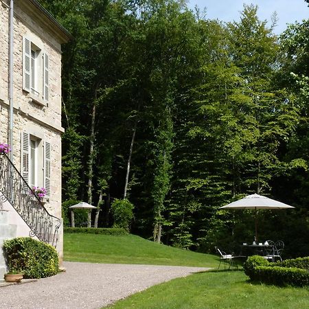 Bed and Breakfast Chateau De La Houillere Champagney Экстерьер фото